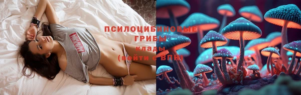 индика Алексин