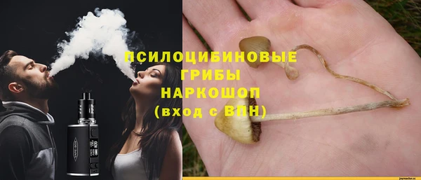 прущая мука Алзамай