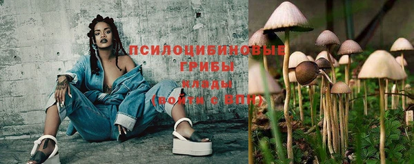 индика Алексин